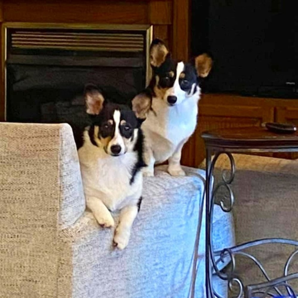 Meet your Posher, Teresa